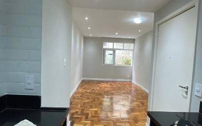 VIAP290683