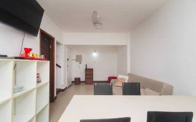 VIAP290771
