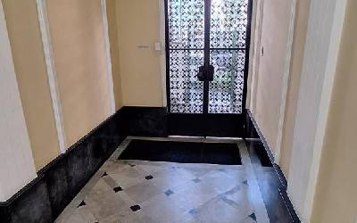 VIAP291436